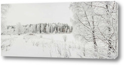   Постер Зимний лес