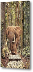   Постер Слон в лесу