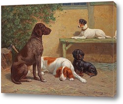   Постер Группа собак
