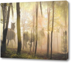   Постер Лошади в лесу