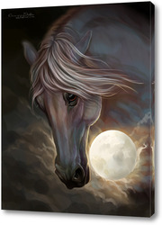   Постер Лошадь и луна
