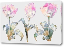   Постер Розовые тюльпаны