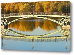   Постер железный мост