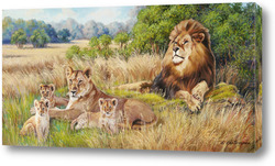   Постер Львы на отдыхе