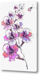   Постер Веточка розовой орхидеи