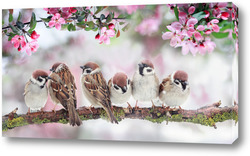   Постер птица в цветущем саду