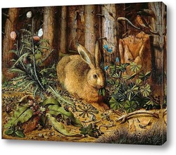   Постер Кролик в лесу