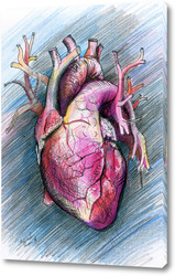   Постер Сердце