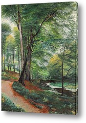   Постер Буковый лес с потоками