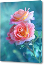   Постер чайные розы