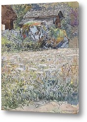   Постер Цветочная поляна в сельской местности