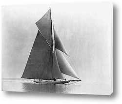  sailer-003