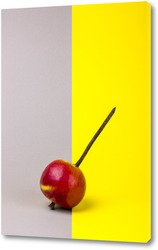  Плод лотоса без лепестков на жёлтом фоне в красной бутылке 