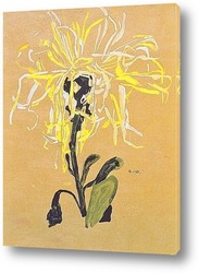   Картина Желтая  хризантема