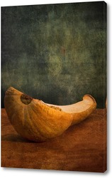   Постер Анатомия тыквы