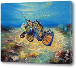   Картина Рыбка Мандаринка