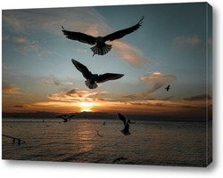   Постер Птицы на закате