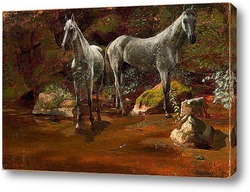   Картина Изучение диких лошадей