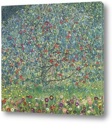   Постер Яблочное дерево