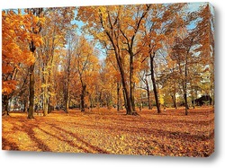   Постер Осень в Асеевском парке