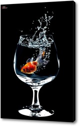   Постер Золотая рыбка