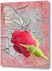   Постер Красная роза с бабочкой