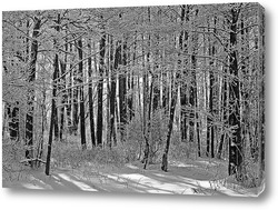   Постер Ольховый зимний лес