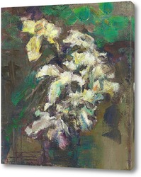   Картина этюд с лилиями