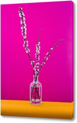   Постер Натюрморт с ветками цветущей абрикосы