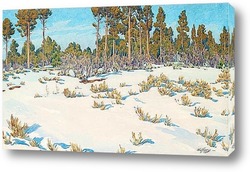   Постер Снег.Лес в Гранд Каньоне