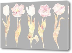   Постер Нежные тюльпаны