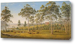  Картина Дом Г-на Робинсона на земле Дервент Вандименовой