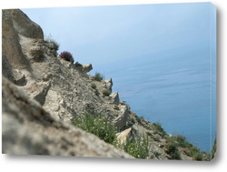   Постер Склон горы над морем