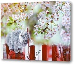   Постер котенок в цветущем саду
