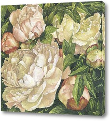   Картина Утренние розовые пионы