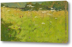   Постер Цветы в полях