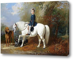   Постер Мастер Бересфорд со своим любимым пони и собакой