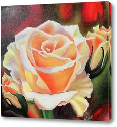  Картина Картина маслом.  Розы на темном фоне. Холст 50х50