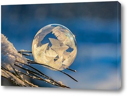   Постер Замёрзший мыльный пузырь на ветке сосны