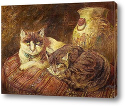   Постер Черепаховые кошки