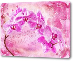   Постер Цветущая орхидея