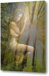  Постер Девушка в лесу