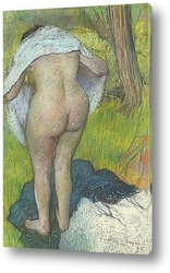  Женщина,купающаяся в тазу