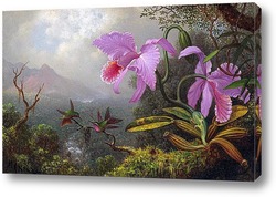   Картина Две колибри на ветке рядом с двумя орхидеями
