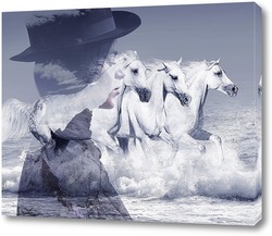   Постер Девушка и лошади