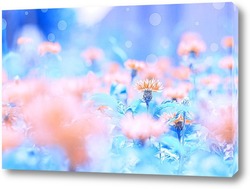    Полевые цветы васильки на голубом фоне 