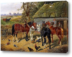   Картина Лошади, куры и птицы, сарай