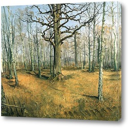   Постер Вермсдорфский лес