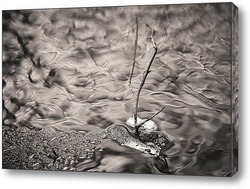    Чёрно-белое фото ветки на речке зимой