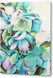   Картина Гортензия цветок
